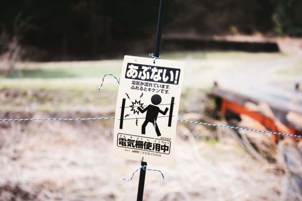 Googleスピードで遅くなるケースも