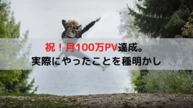 祝！月100万PV。 実際にやったこと