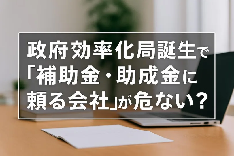 政府効率化局誕生で「補助金・助成金に頼る会社」が危ない?